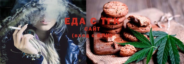дживик Осинники