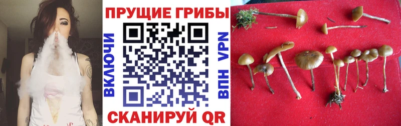 Псилоцибиновые грибы мицелий  МЕГА tor  Печоры 